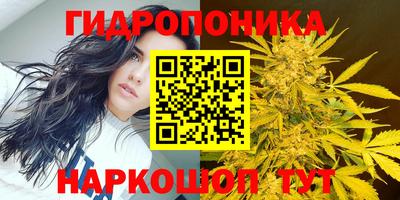 гидропоника Северобайкальск