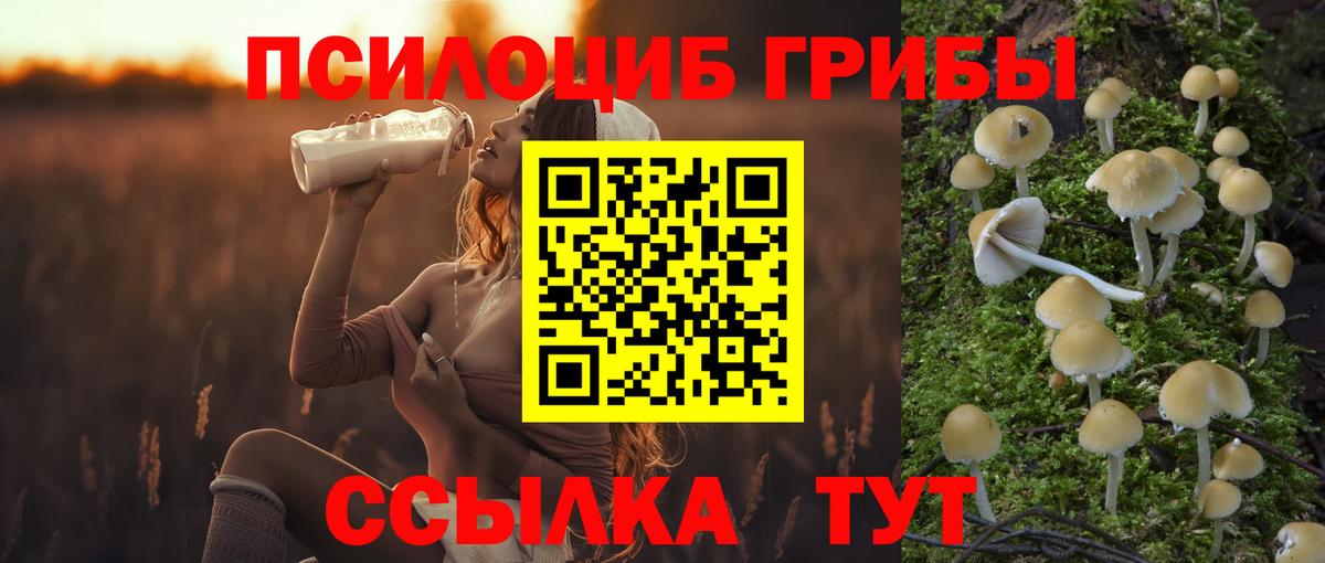 Галлюциногенные грибы прущие грибы Орск