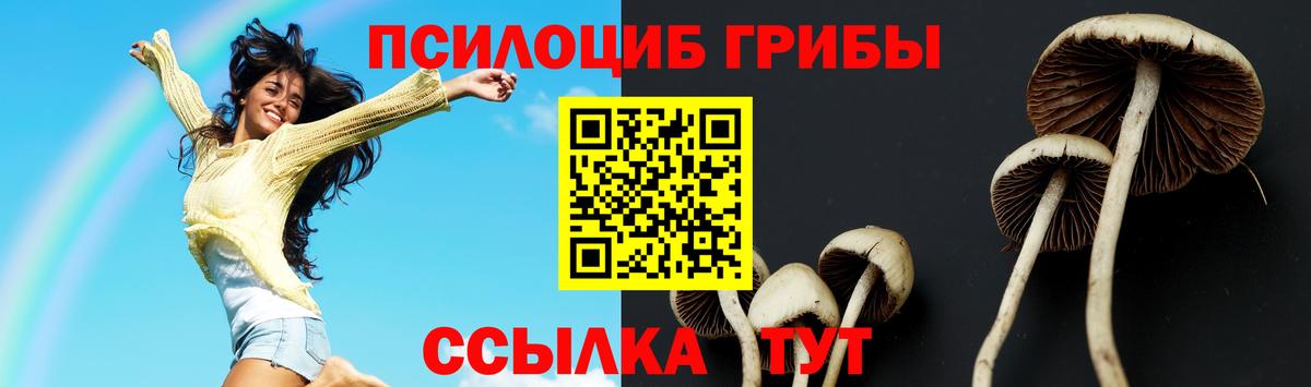 Псилоцибиновые грибы мухоморы  Вход с VPN  Орск 